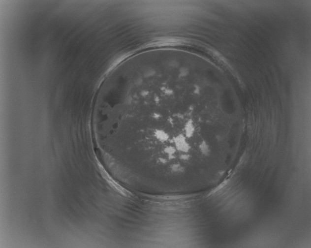 X0000056331417200509021617