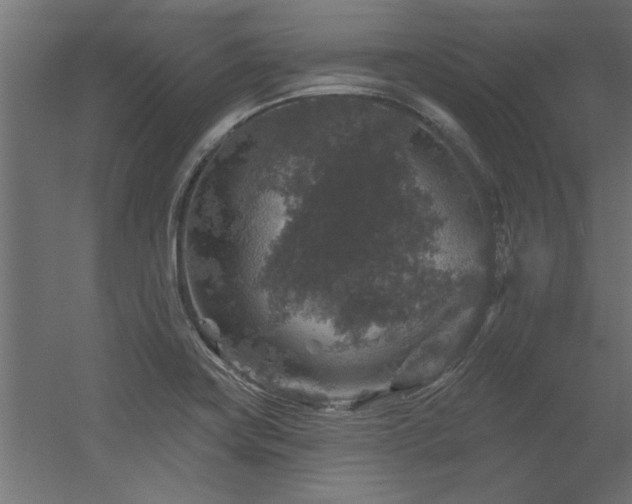 X0000056331419200509021617