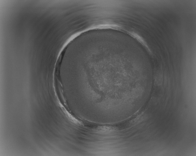 X0000056331420200509021617