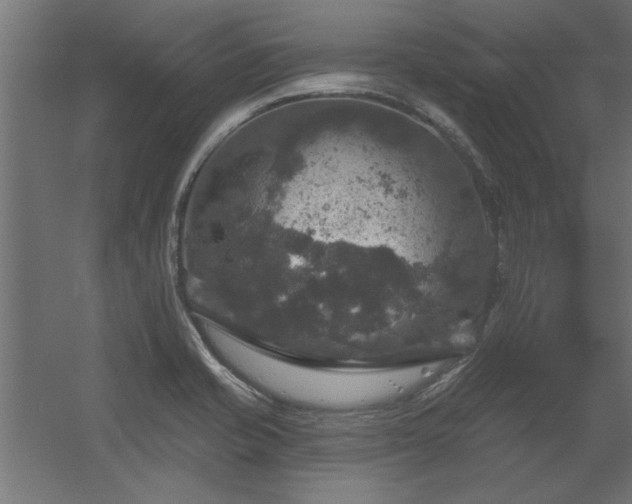 X0000056331421200509021617