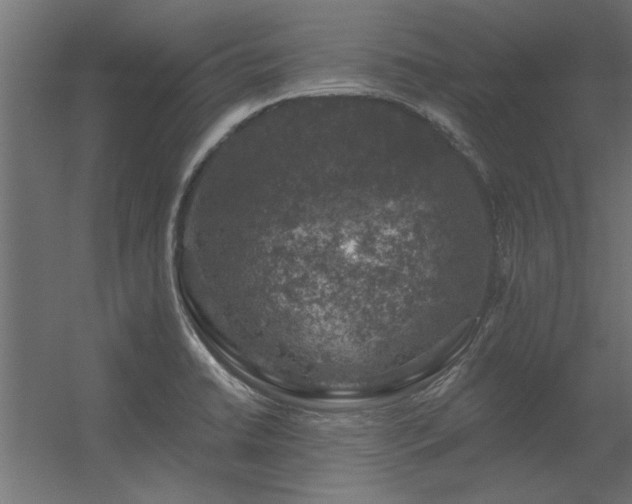 X0000056331422200509021617