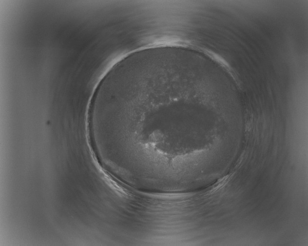 X0000056331423200509021617