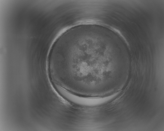 X0000056331424200509021617