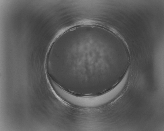 X0000056331429200509021617