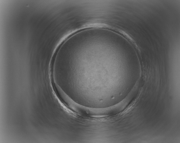 X0000056331430200509021618