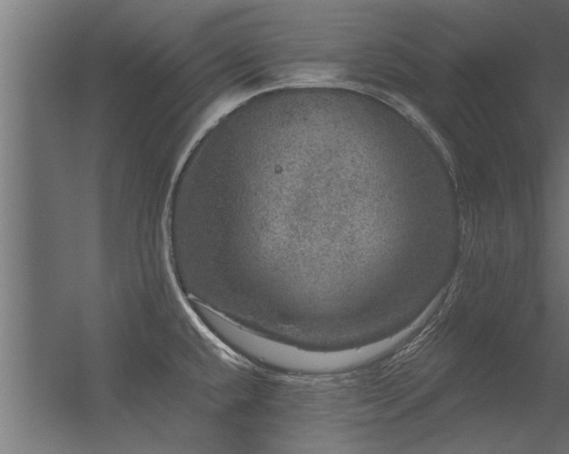 X0000056331432200509021618