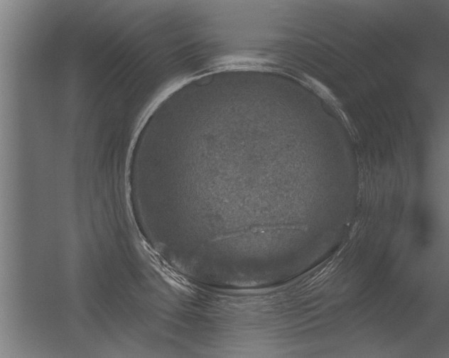 X0000056331435200509021618