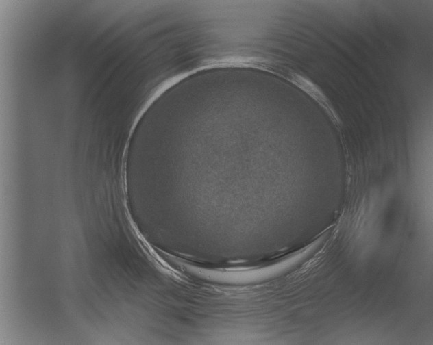 X0000056331436200509021618