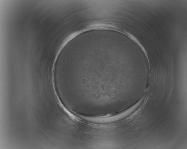 X0000056331437200509021618