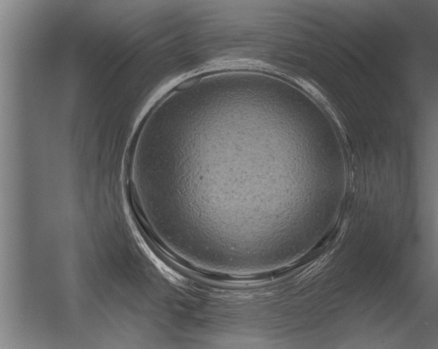 X0000056331438200509021618