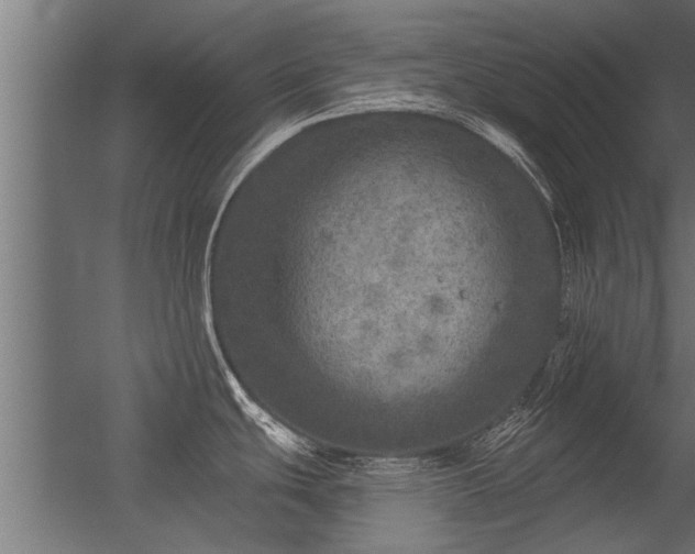 X0000056331439200509021618