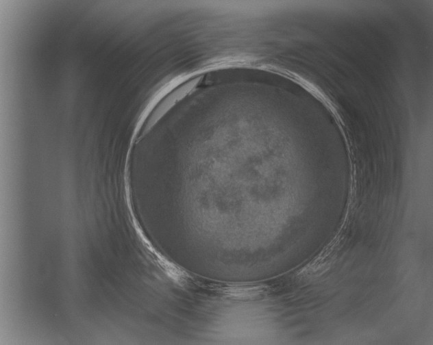 X0000056331440200509021618