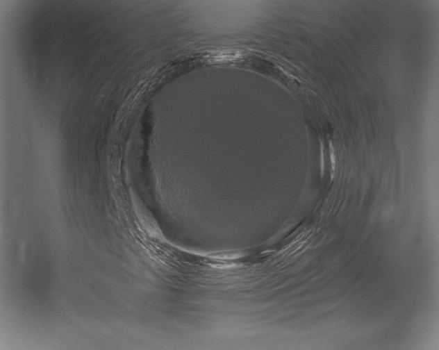 X0000056331441200509021617