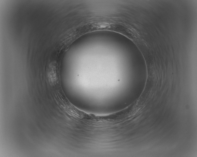 X0000056331442200509021617