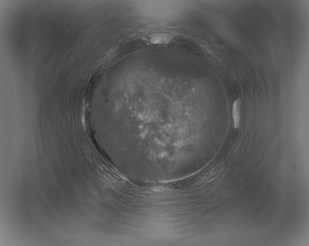 X0000056331443200509021617