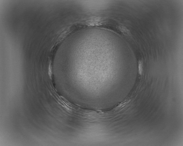 X0000056331444200509021617