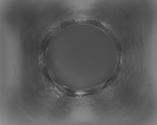 X0000056331445200509021617