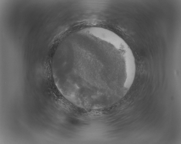 X0000056331446200509021617