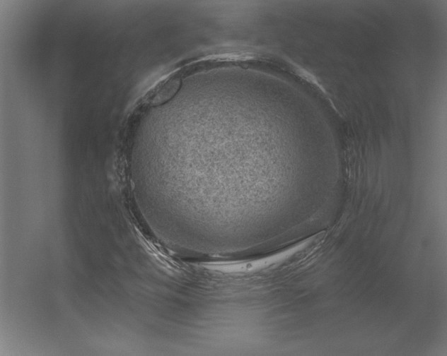 X0000056331448200509021617