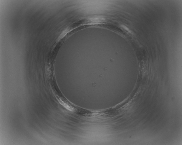 X0000056331449200509021617