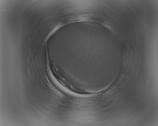 X0000056331450200509021617