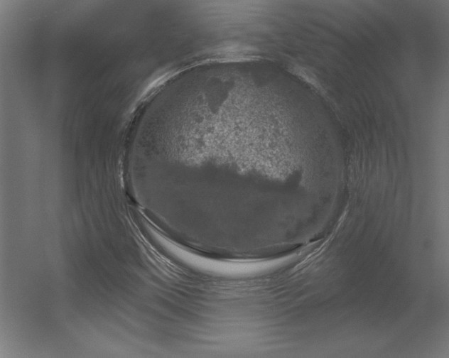 X0000056331451200509021617