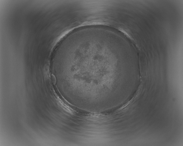 X0000056331452200509021617