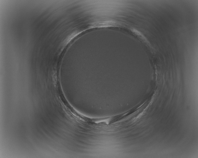 X0000056331457200509021617