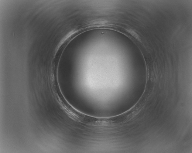 X0000056331458200509021617