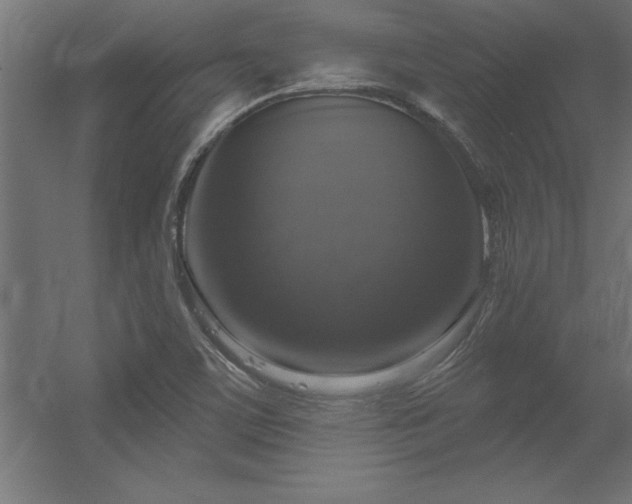 X0000056331459200509021617