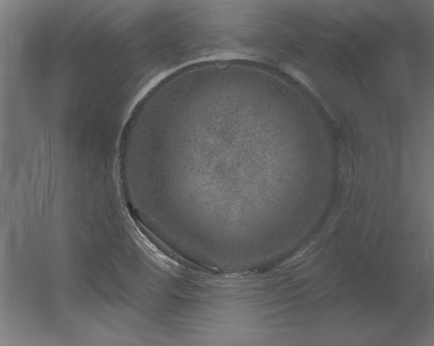 X0000056331460200509021617