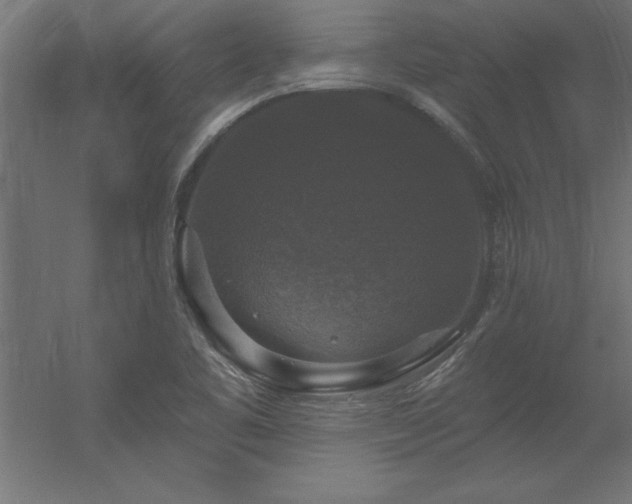 X0000056331461200509021617