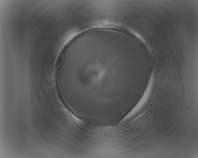 X0000056331463200509021616