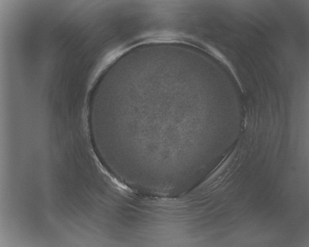 X0000056331464200509021616