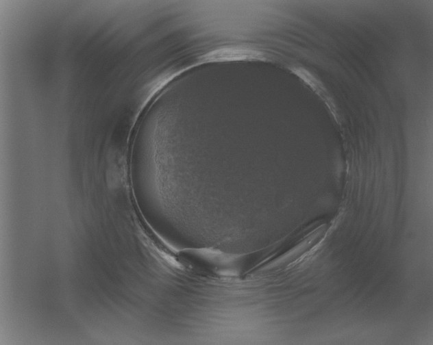 X0000056331465200509021616