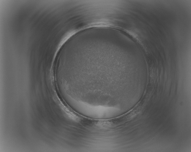 X0000056331466200509021616