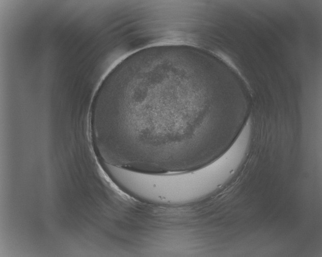 X0000056331468200509021616