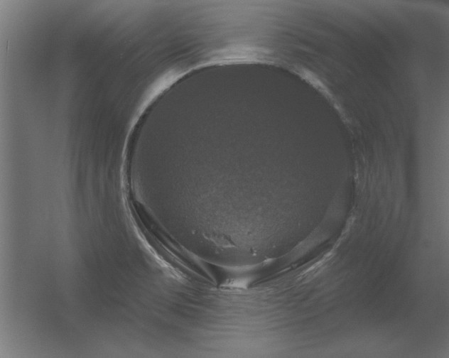 X0000056331469200509021616