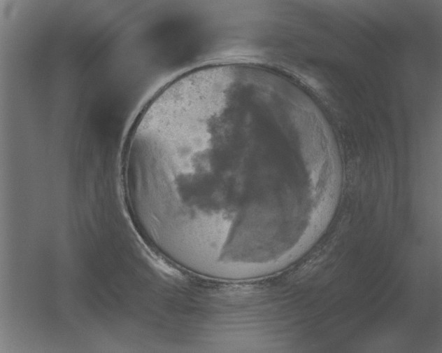 X0000056331470200509021616