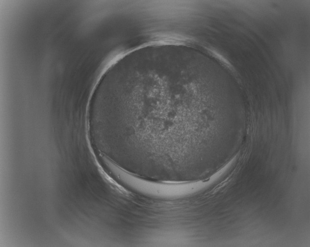 X0000056331471200509021616