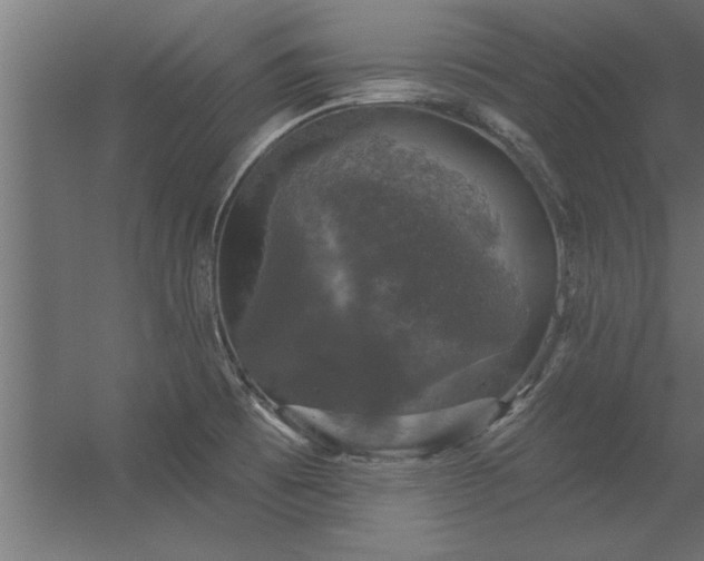 X0000056331473200509021616