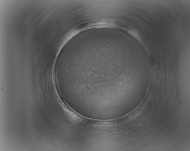 X0000056331474200509021616