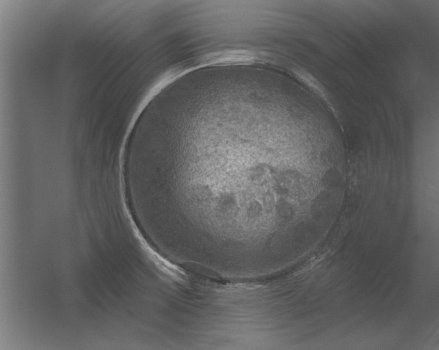 X0000056331475200509021616