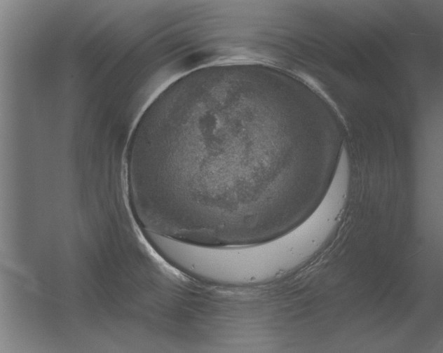 X0000056331476200509021616