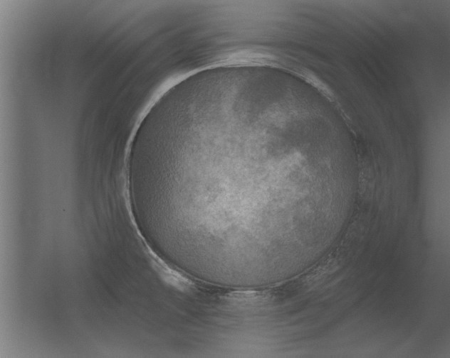 X0000056331478200509021616