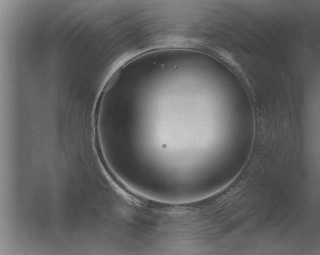 X0000056331479200509021616