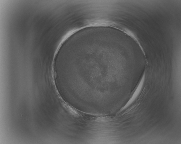 X0000056331480200509021616