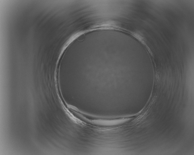 X0000056331482200509021616