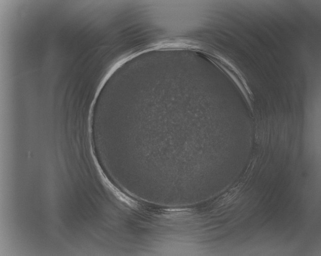 X0000056331483200509021616