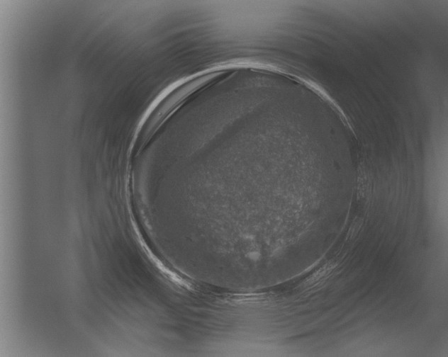 X0000056331484200509021616